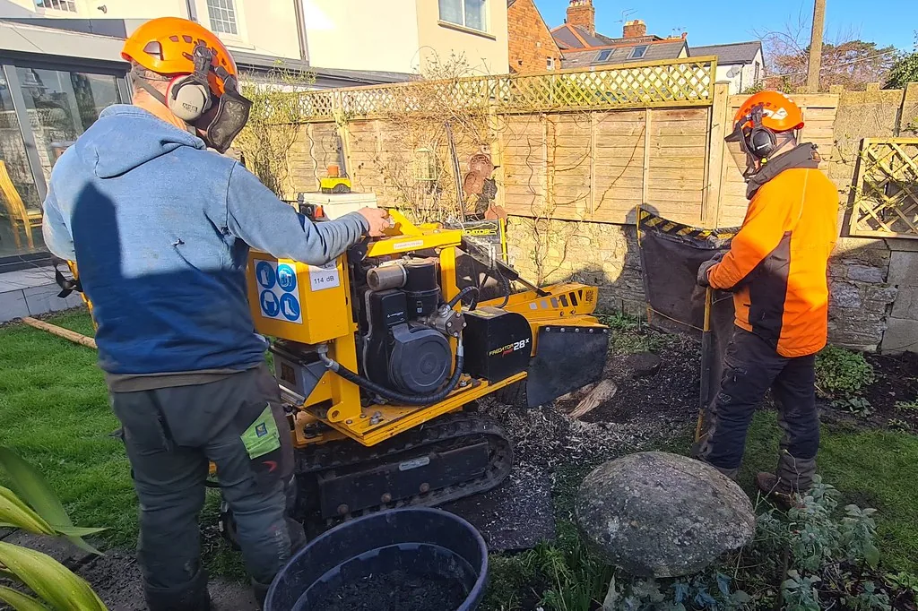 Stump Grinding in a residential setting