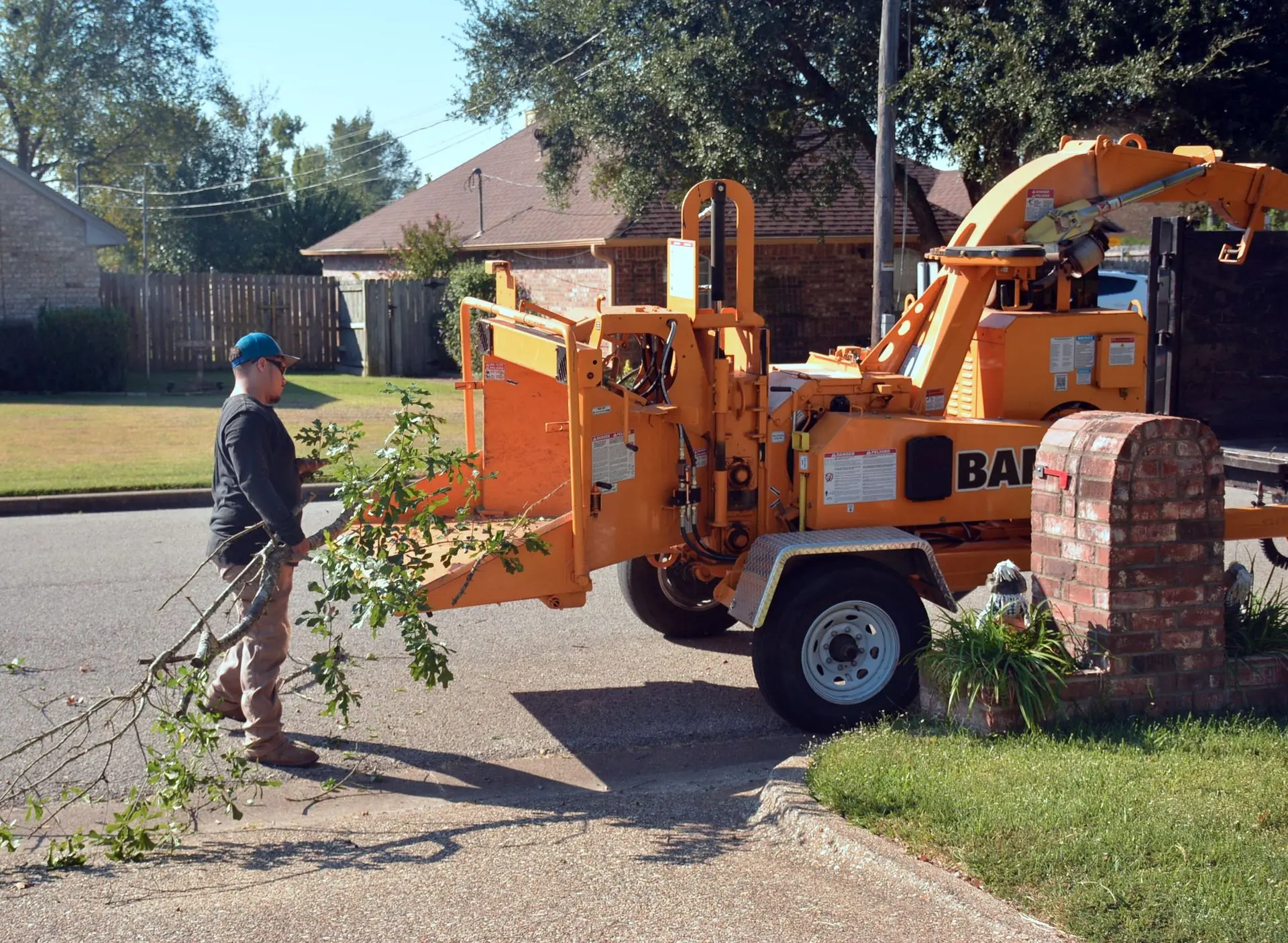 Tree Removal in a residential setting